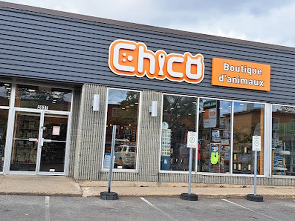 Chico - Boutique d'animaux