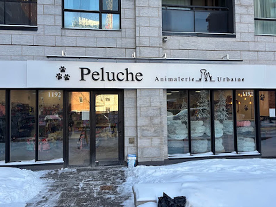 Peluche Centre-Ville | Pet Store | Toilettage
