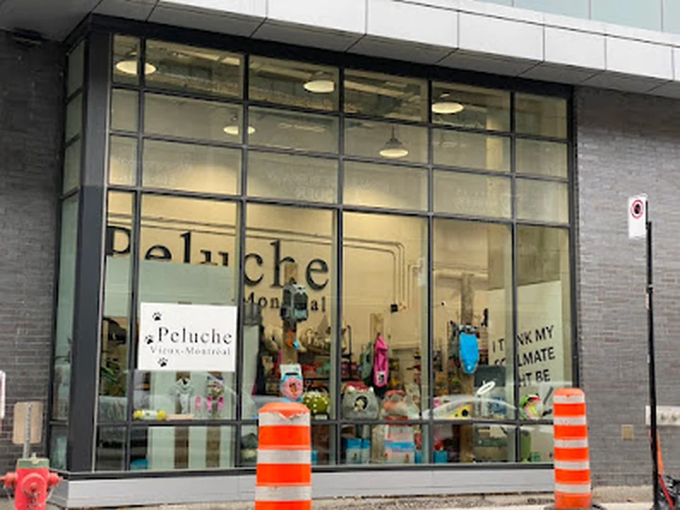 Peluche Vieux-Montréal | Pet Store | Grooming
