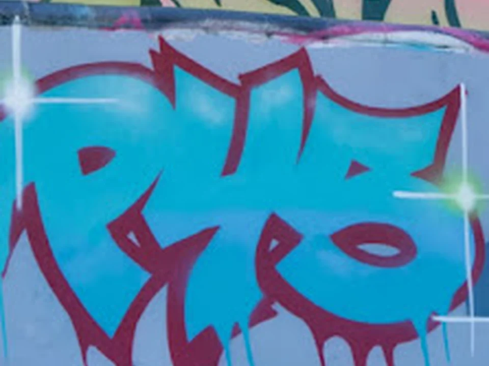 Planchodrome Projet 45 DIY Skatepark, Montréal