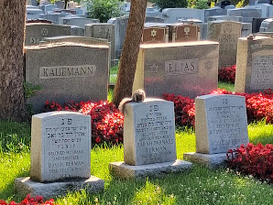 Cimetière Shaar Hashomayim, Montréal