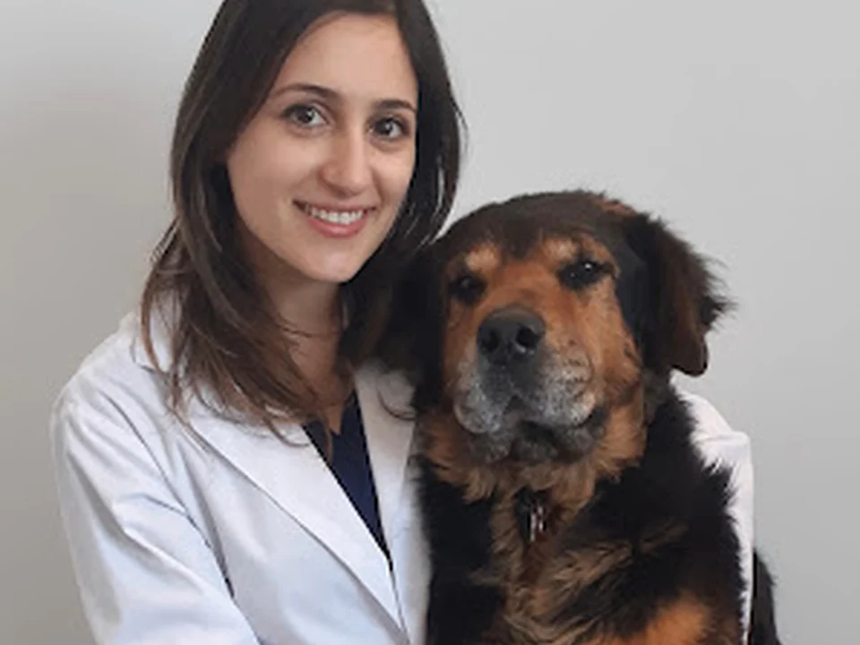 Dre Melissa - At Home Pet Euthanasia, Montréal