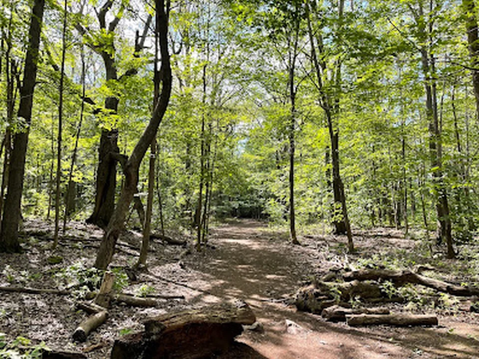 Bois Summit, Montréal