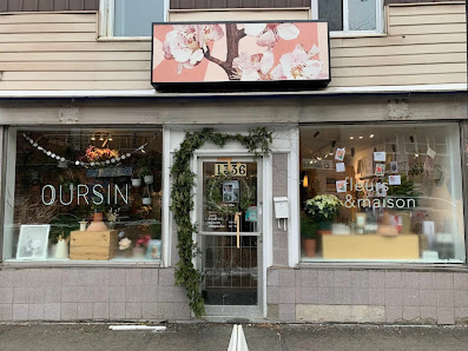 Oursin Fleurs Centre-Sud, Montréal