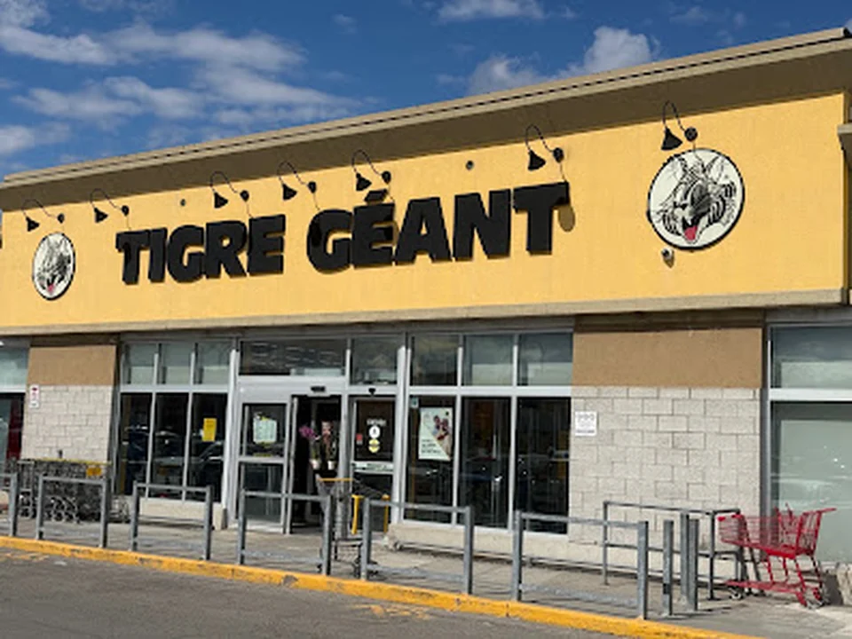 Tigre Géant, Montréal