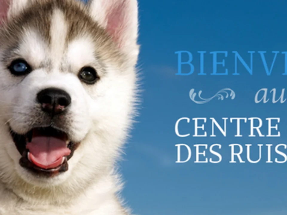 Centre Canin Des Ruisseaux, Montréal