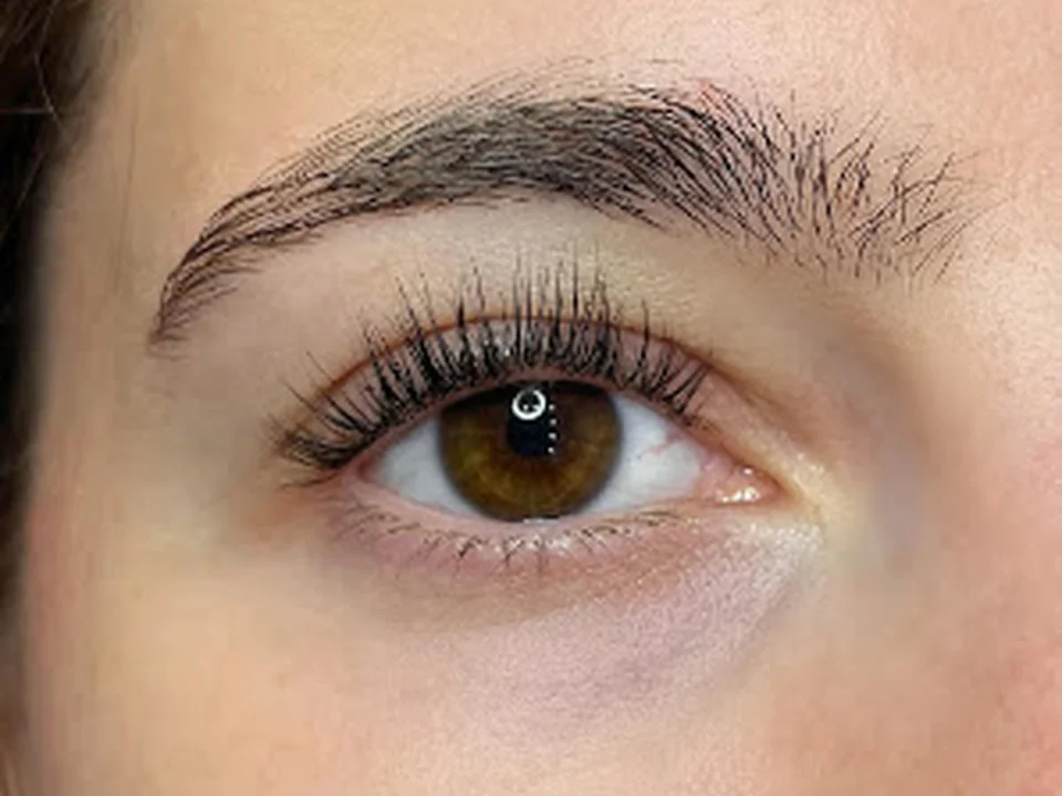 Lash & Brow Artistry Studio | Lash Extensions, Nano Brows, Microblading, Lashlift, Brow lamination, Masterclasses, Montréal