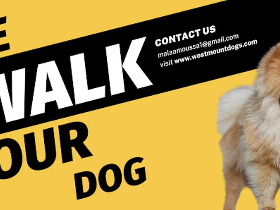 Westmount Dogs Dog Walking Services, Montréal