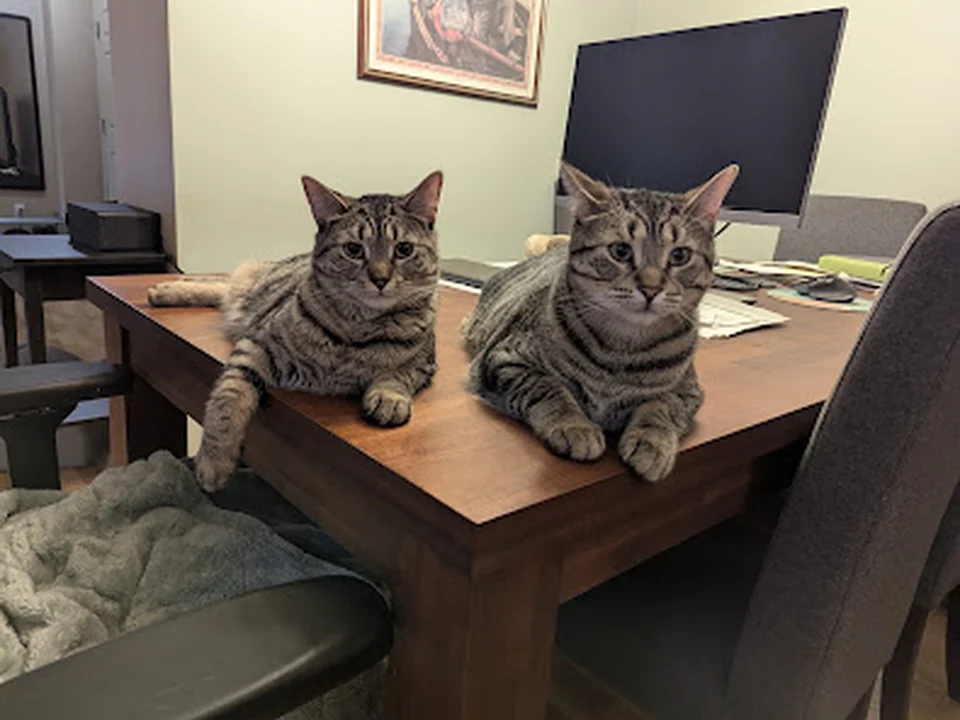 SPCA de Montréal