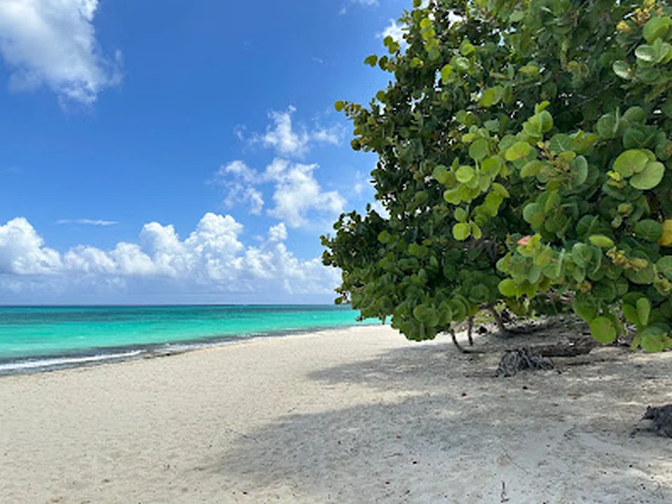 Voyage Régence Inc., Montréal