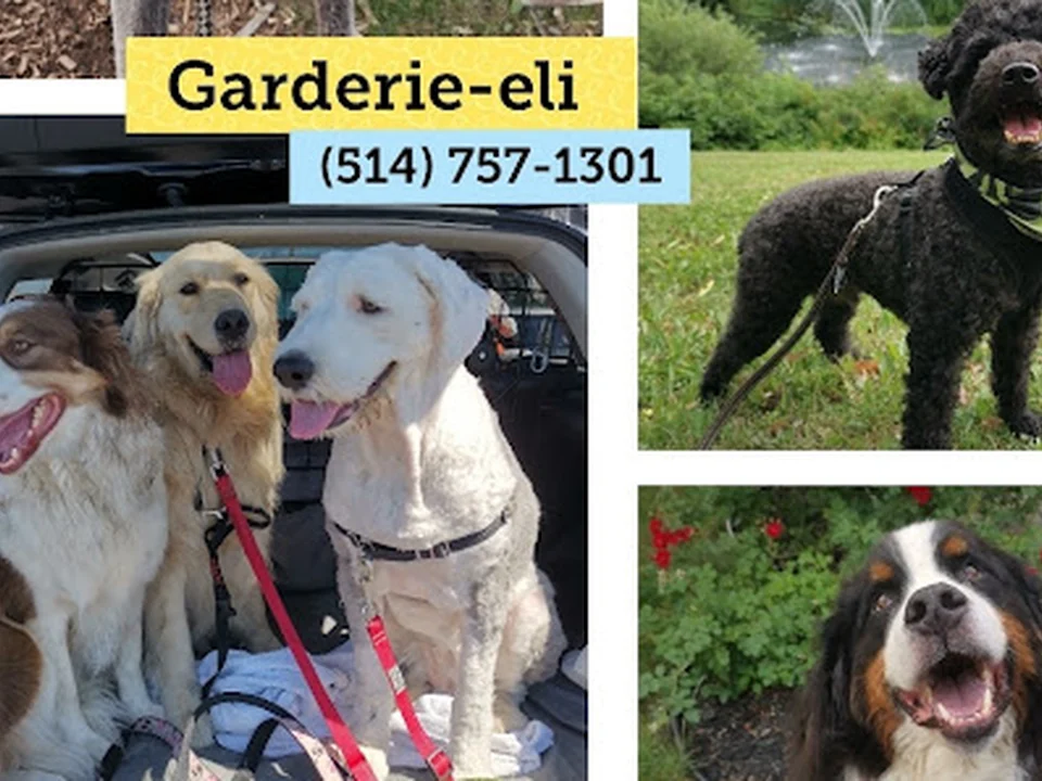 Garderie-eli, Montréal