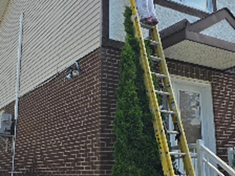 Said Peinture, Montréal