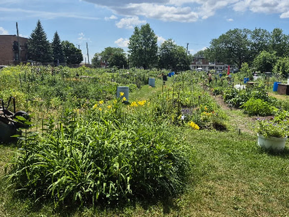 Jardin communautaire Arc-en-sol, Montréal