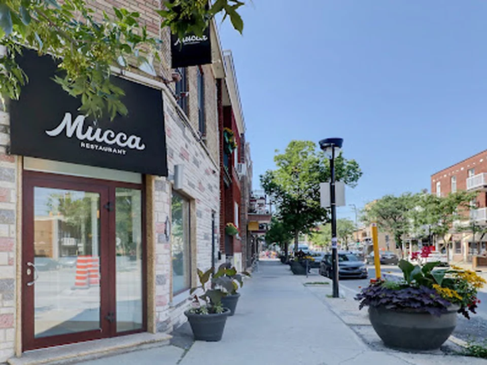 Mucca, Montréal
