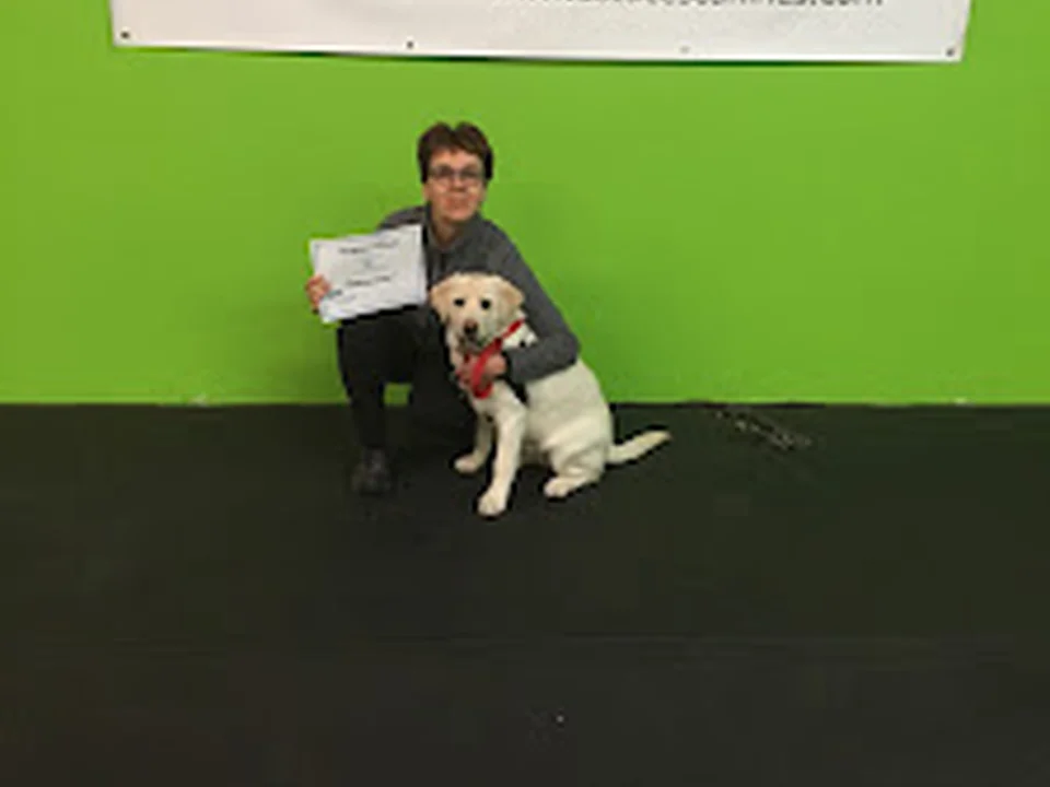 Le Centre Canin Astuces Canines, Montréal