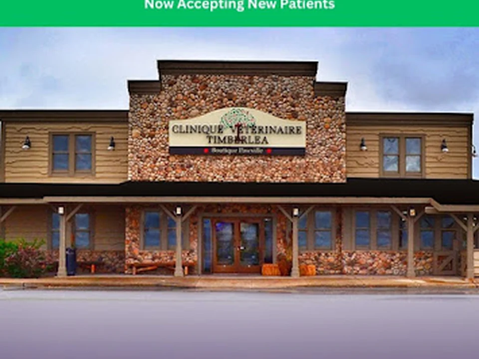 Clinique Vétérinaire Timberlea, Montréal