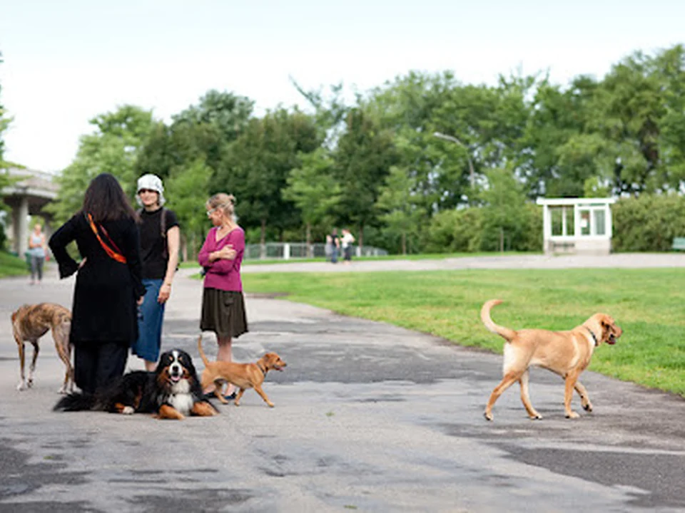 Parc Canin d'Outremont (parc Mali), Montréal