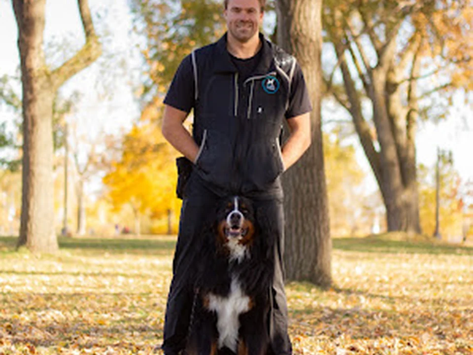 Southwest Dog Training, Montréal