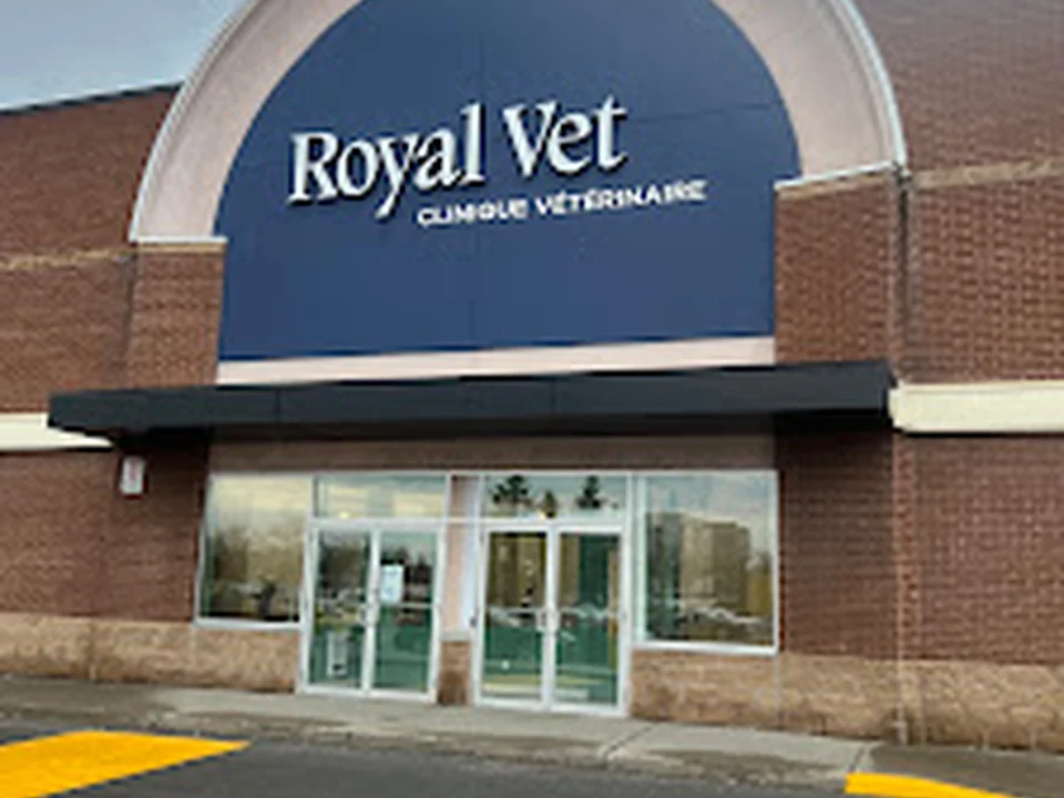 Royal Vet - Clinique Vétérinaire, Montréal