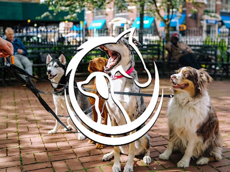 Kala | Services Canins & Équins | Éducation & Dressage à Domicile au Québec, Montréal