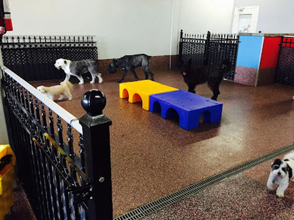 Le Pet Spa, Montréal