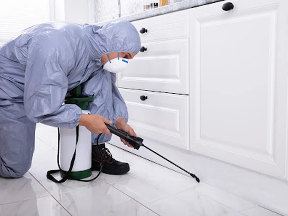 FEXT Pest Control Lachine Montreal