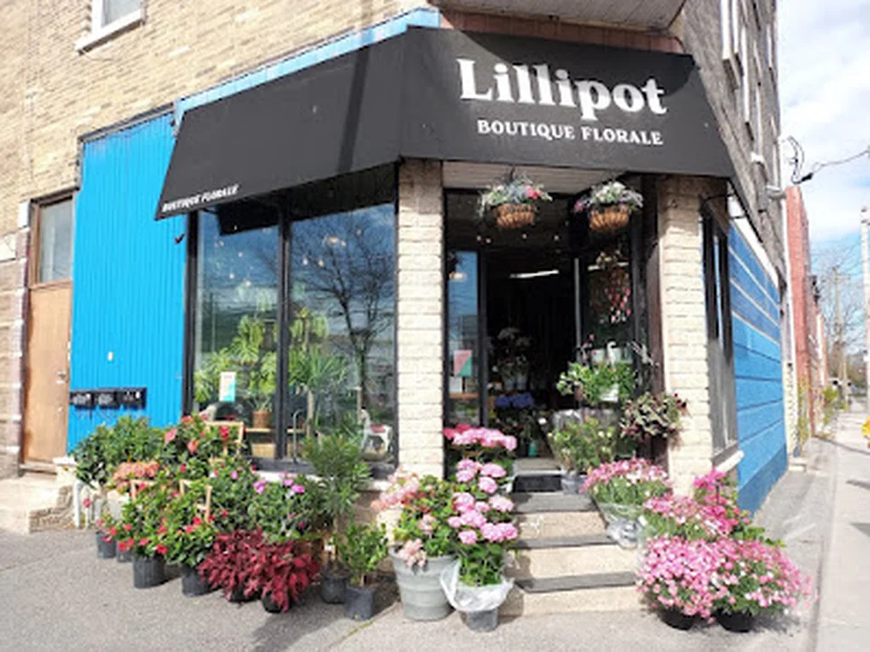 Lillipot - Boutique Florale, Montréal