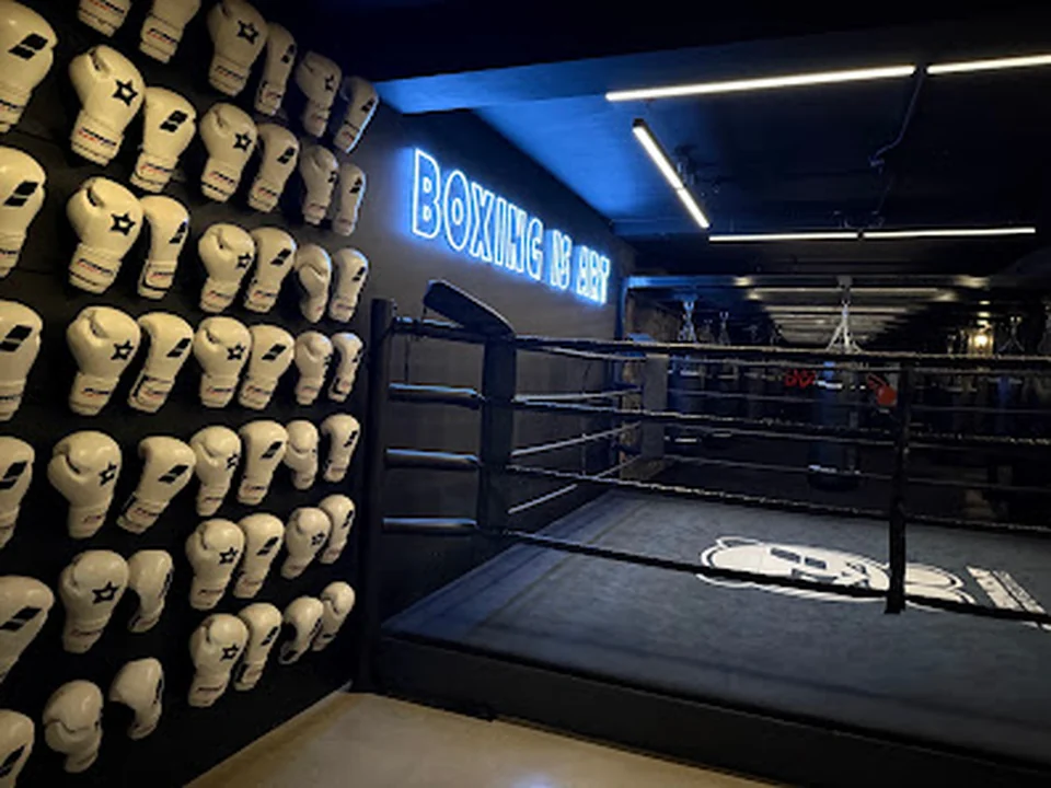 Panda Boxing, Montréal