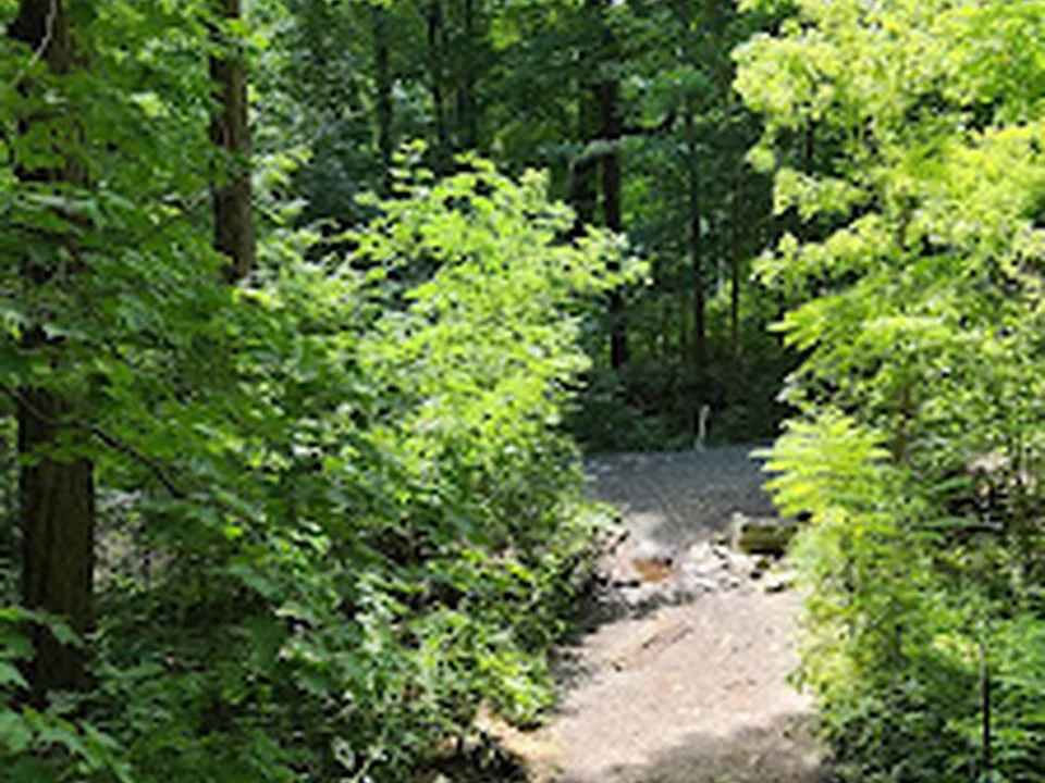 Commencement du Chemin Mont-Royal, Montréal