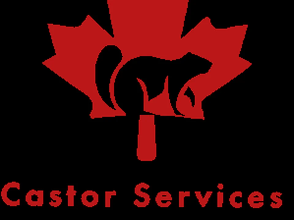 Castor Immigration Canada, Montréal