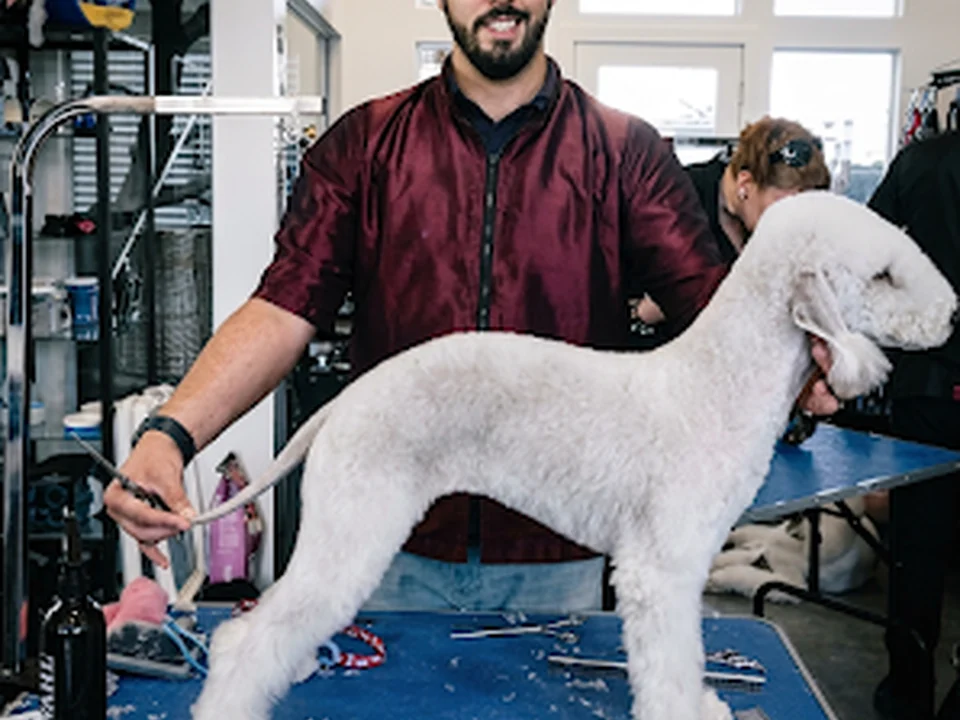 Grooming Show Toilettage, Montréal