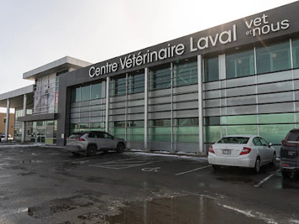 Centre Vétérinaire Laval, Montréal