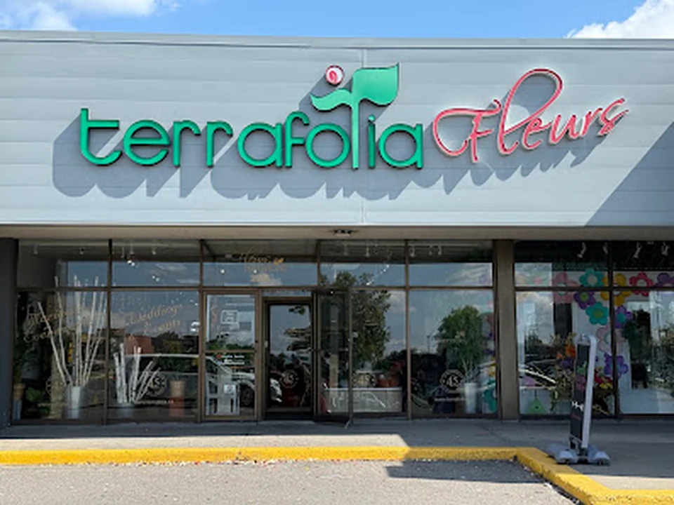 Fleuriste Terrafolia Florist, Montréal
