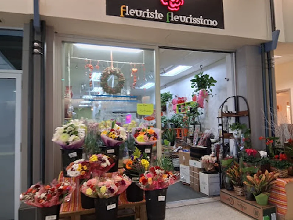 Fleuriste Fleurissimo, Montréal