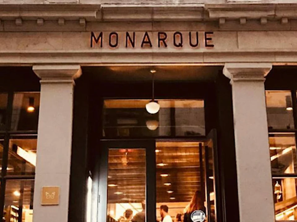 Monarque, Montréal