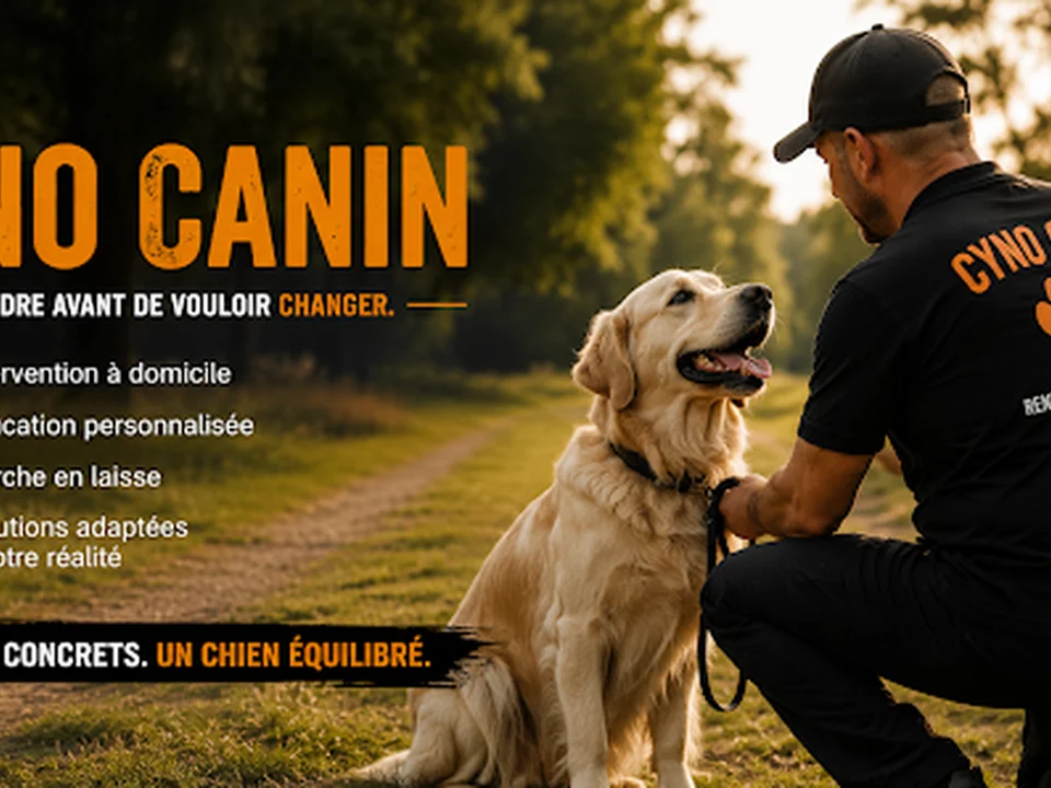 Cyno Canin – Éducateur et intervenant en comportement canin à domicile, Montréal
