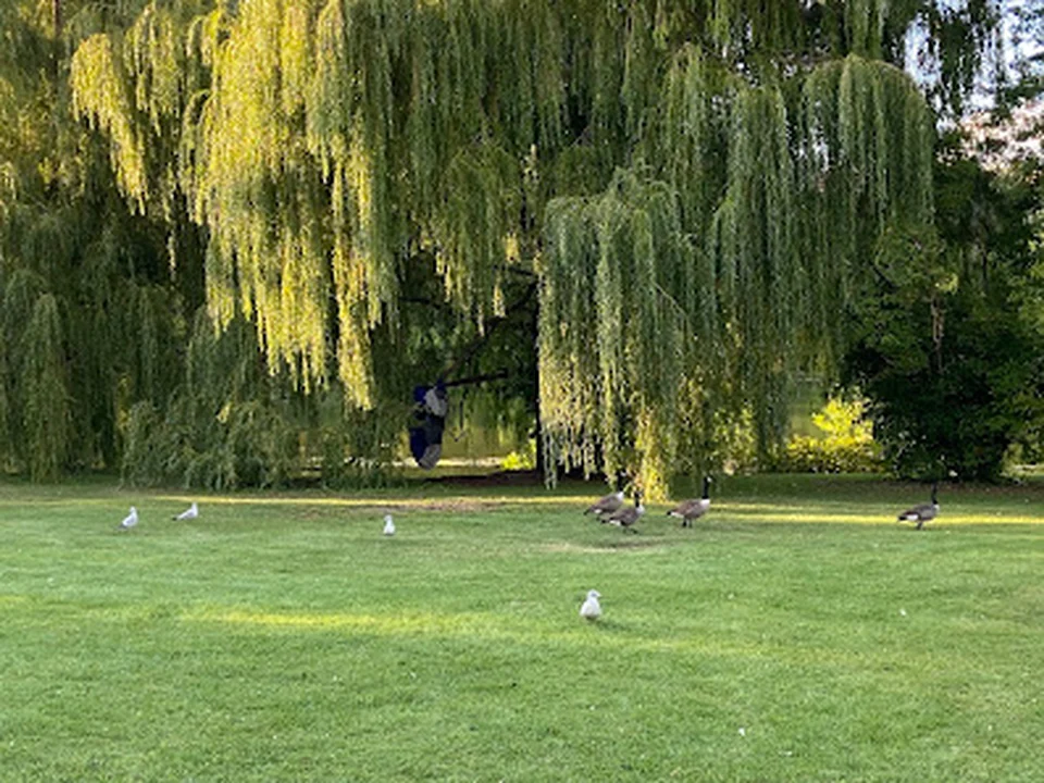 Parc Angrignon, Montréal