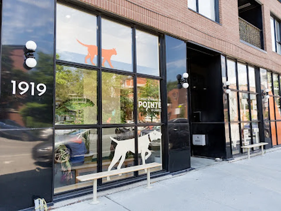 Clinique Vétérinaire de Pointe St-Charles, Montréal