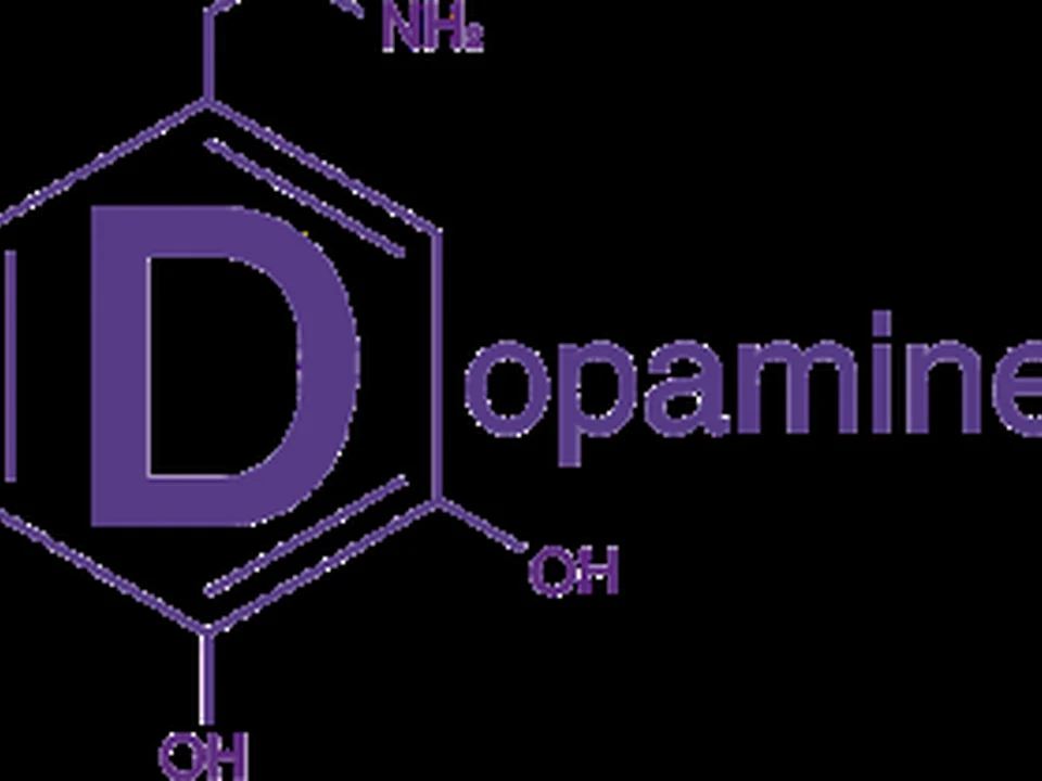 Dopamine - Centre de jour, Montréal