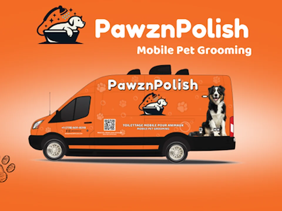Pawznpolish, Montréal