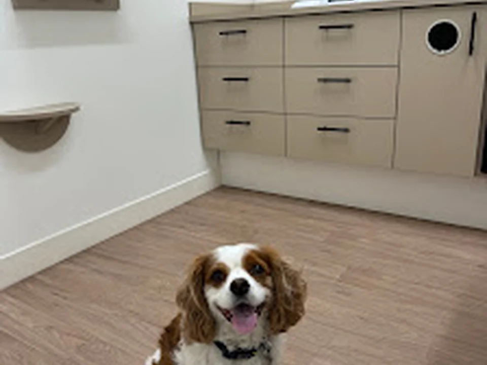 Clinique vétérinaire Le Vet Club, Montréal