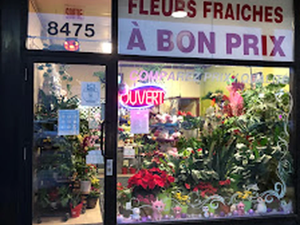 Fleuriste Nini - Livraison Fleurs Lasalle, Montréal