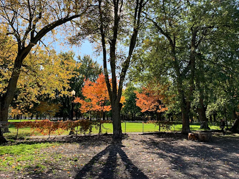 Parc à chiens du Parc La Fontaine, Montréal