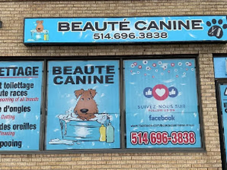 Beauté Canine, Montréal