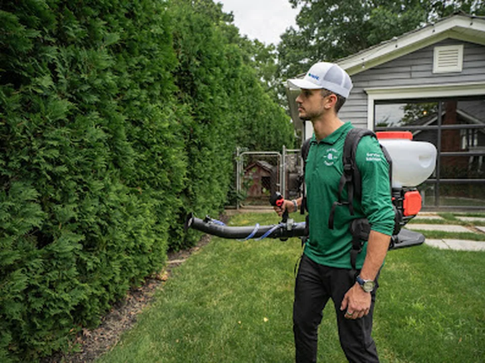 Insight Pest Solutions - Montréal, QC