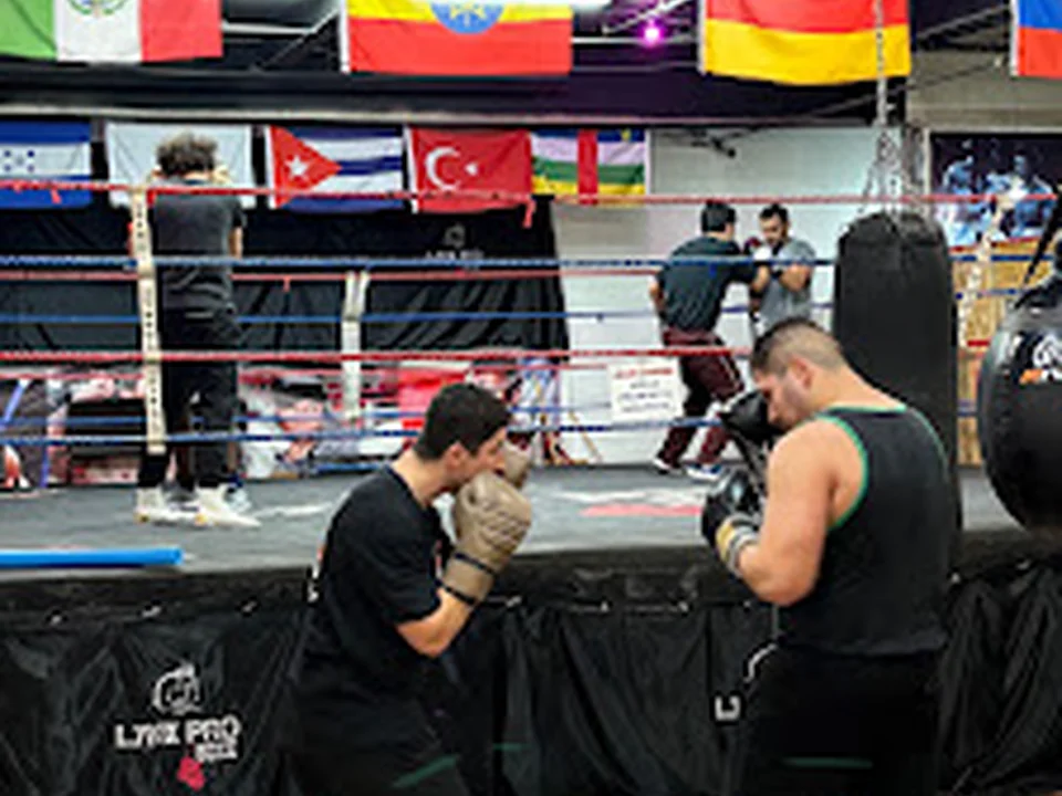 LYNX PRO BOXE, Montréal