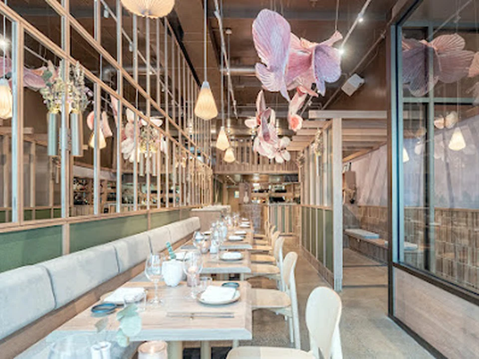 Bloom Sushi, Montréal