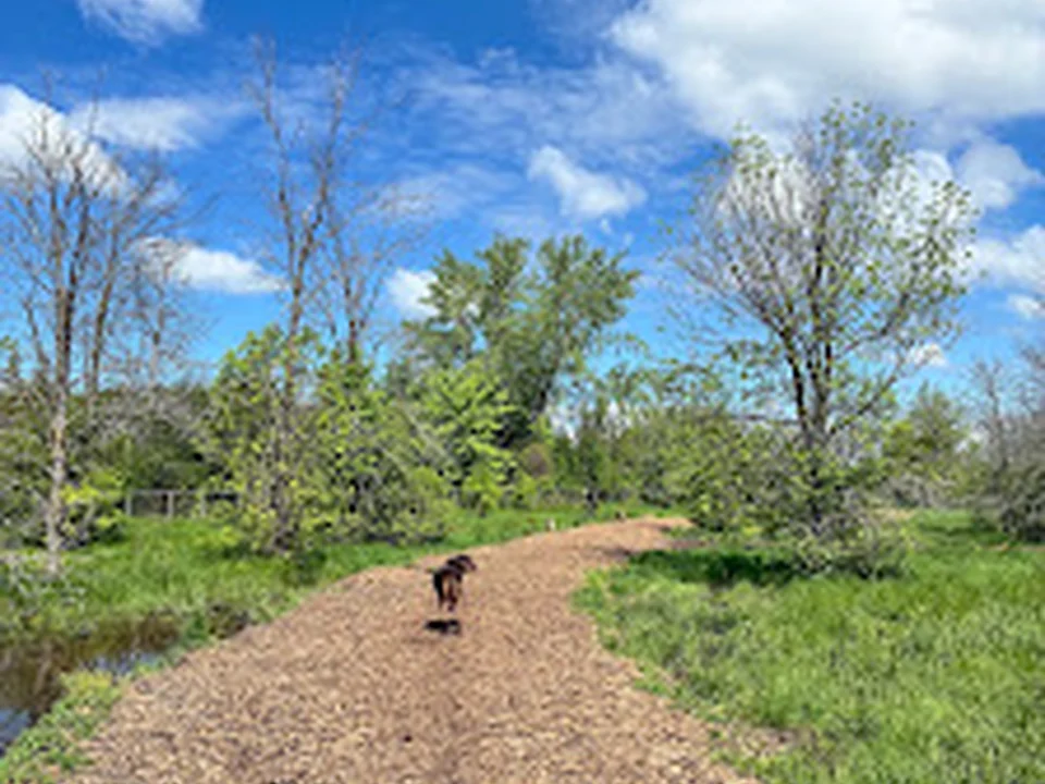 Parc Canin Surrey, Montréal