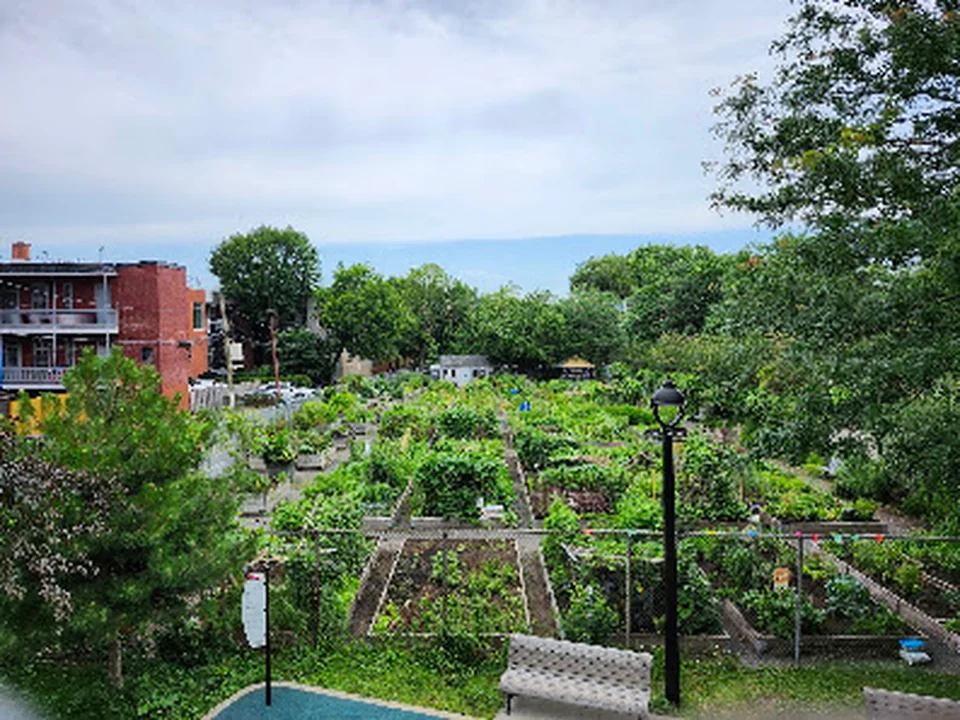 Jardin communautaire Sainte-Marie, Montréal