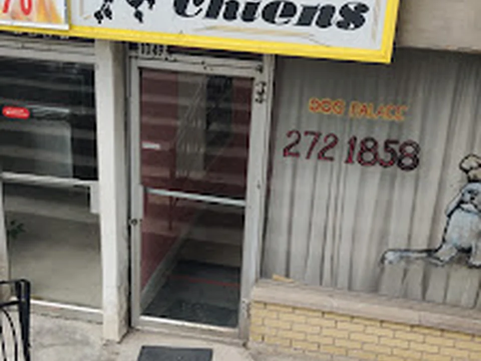 Palais des Chiens, Montréal